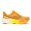 SAUCONY Triumph 24